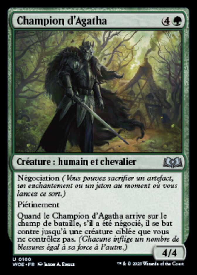 image Champion d'Agatha