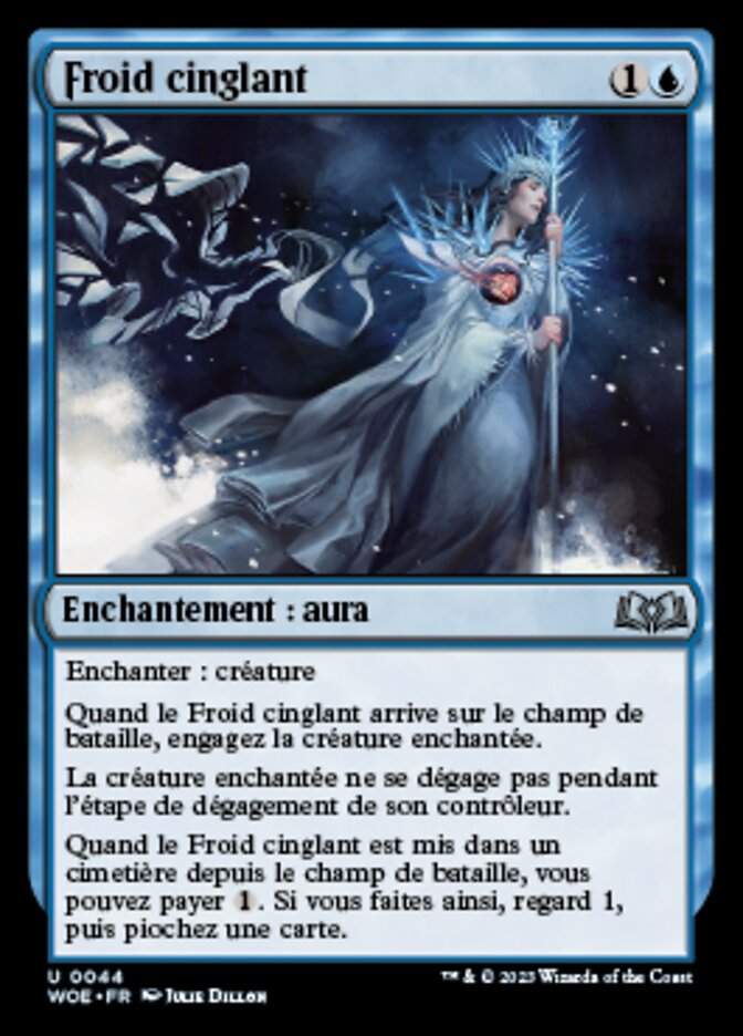 image Froid cinglant