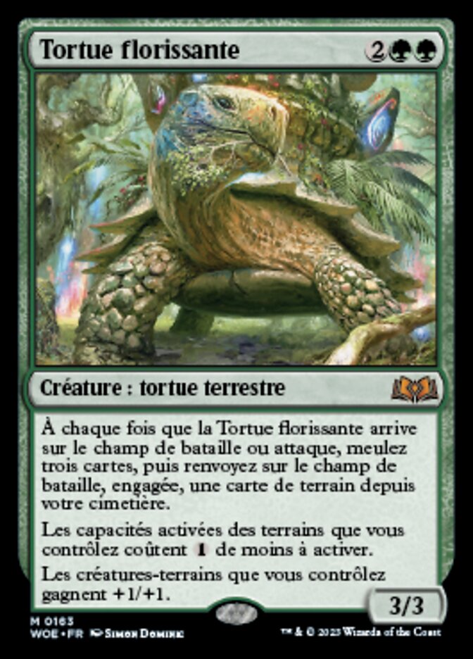 image Tortue florissante