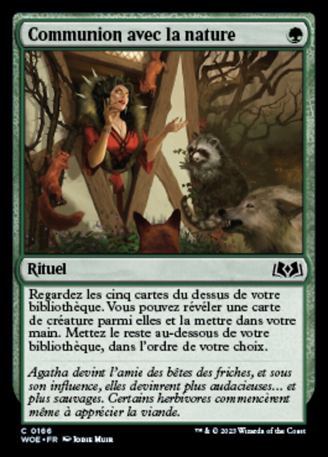 image Communion avec la nature