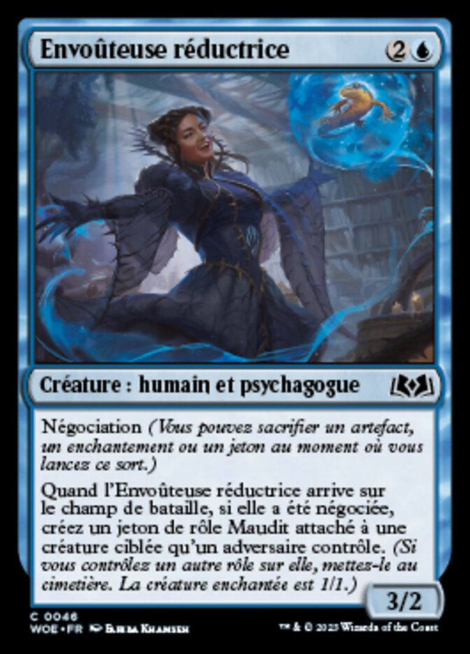 image Envoûteuse réductrice