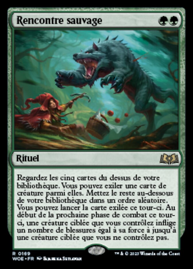 image Rencontre sauvage