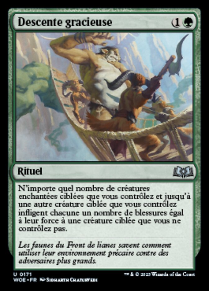 image Descente gracieuse