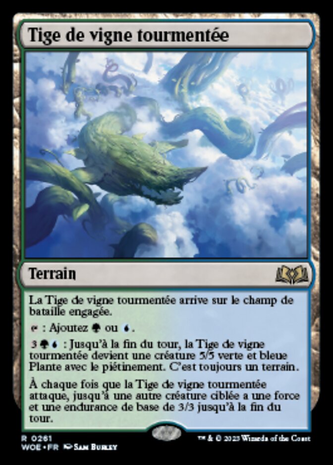 image Tige de vigne tourmentée