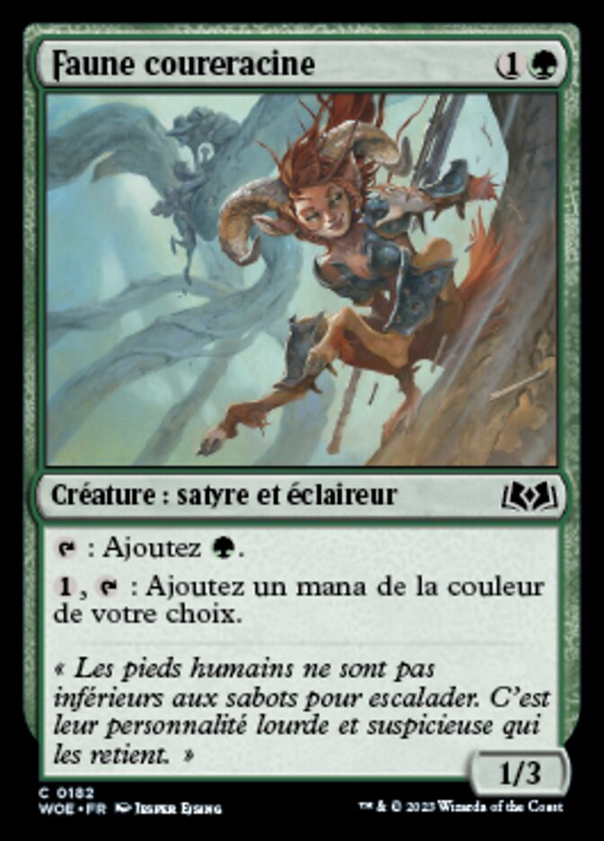 image Faune coureracine