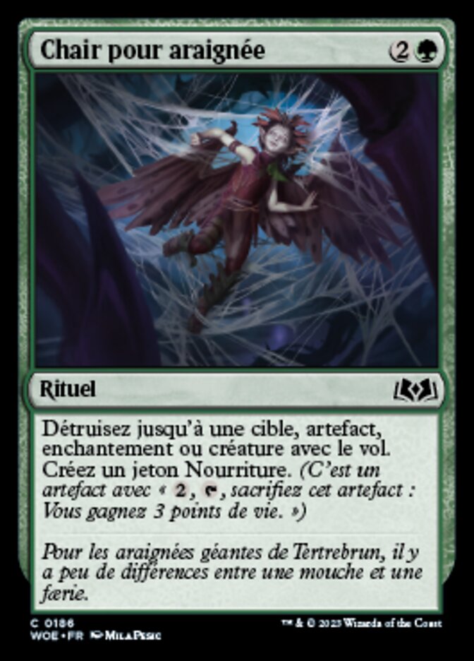 image Chair pour araignée