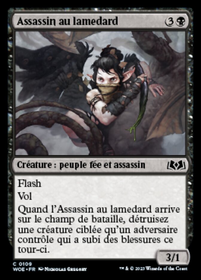 image Assassin au lamedard