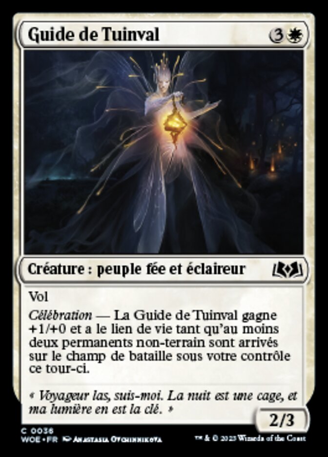 image Guide de Tuinval