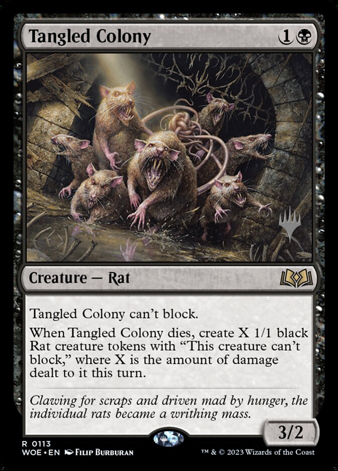 image Tangled Colony