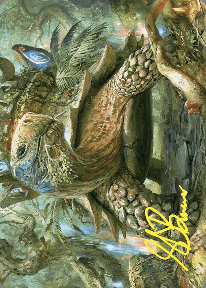 image Blossoming Tortoise // Blossoming Tortoise