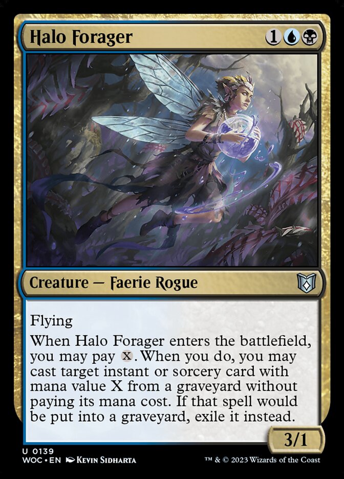 image Halo Forager