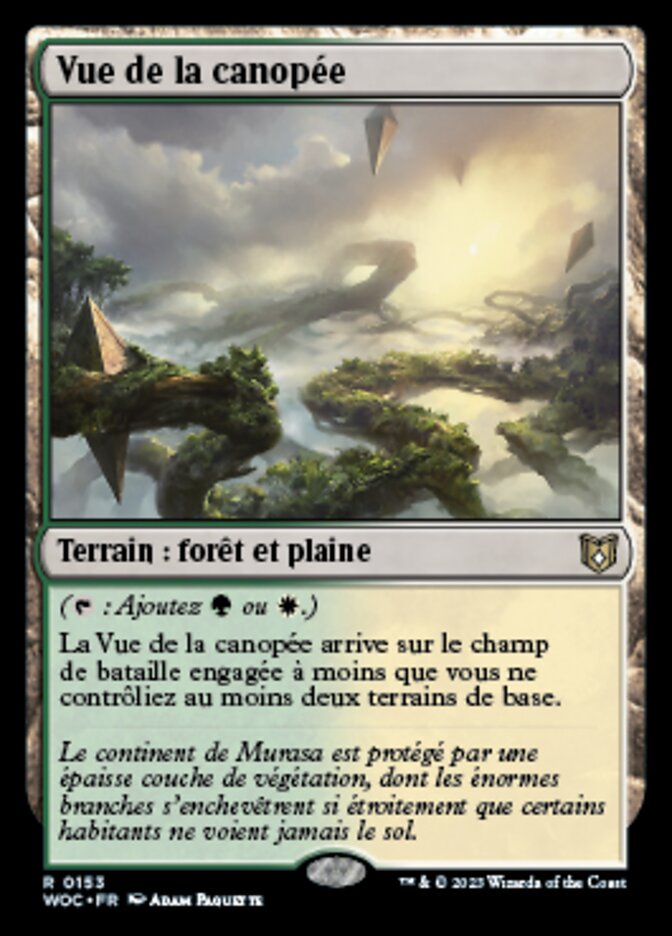 image Vue de la canopée