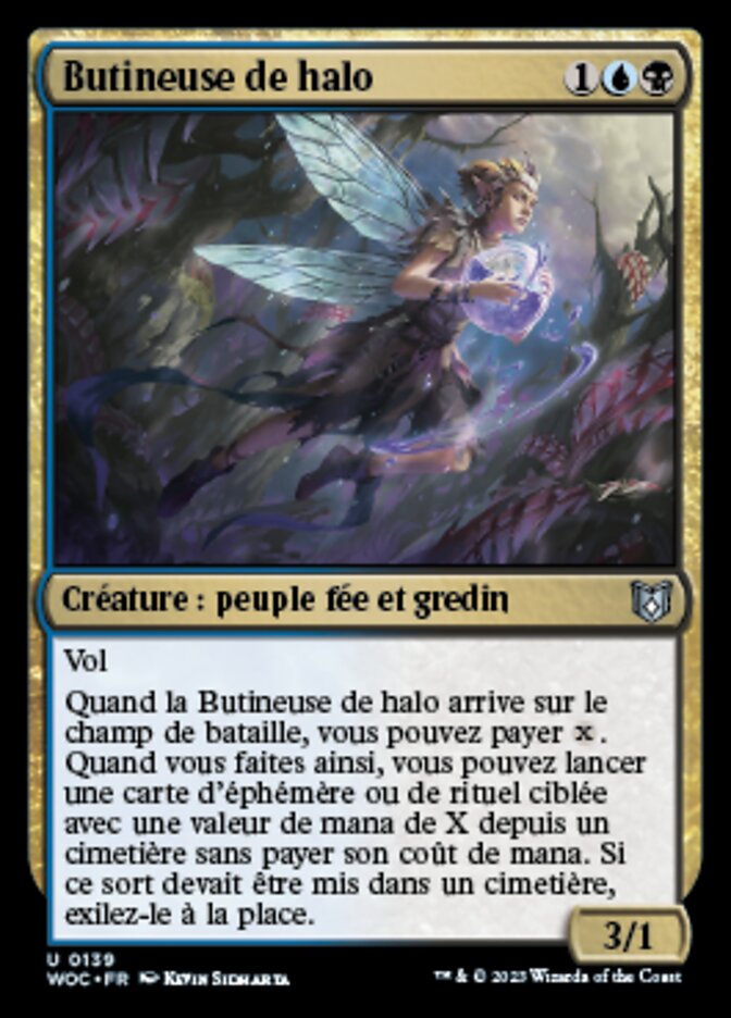 image Butineuse de halo