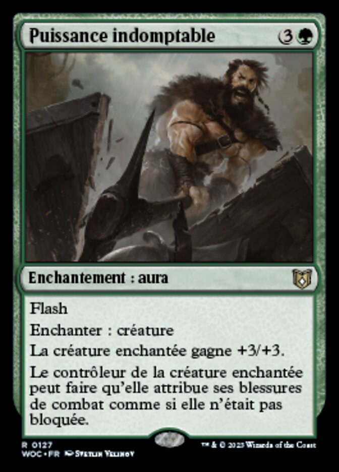 image Puissance indomptable