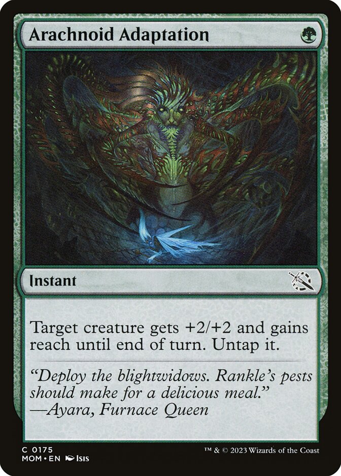 image Arachnoid Adaptation