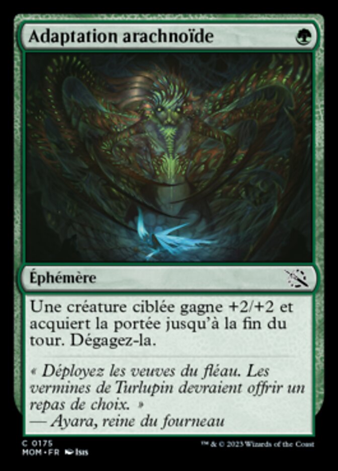 image Adaptation arachnoïde