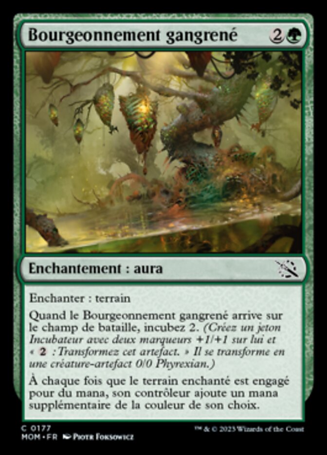 image Bourgeonnement gangrené