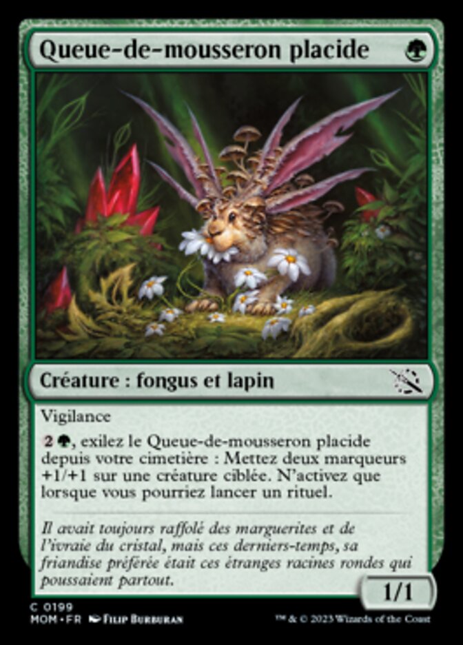 image Queue-de-mousseron placide