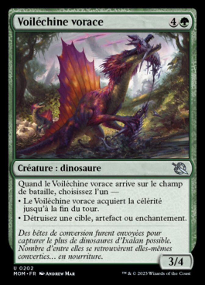 image Voiléchine vorace