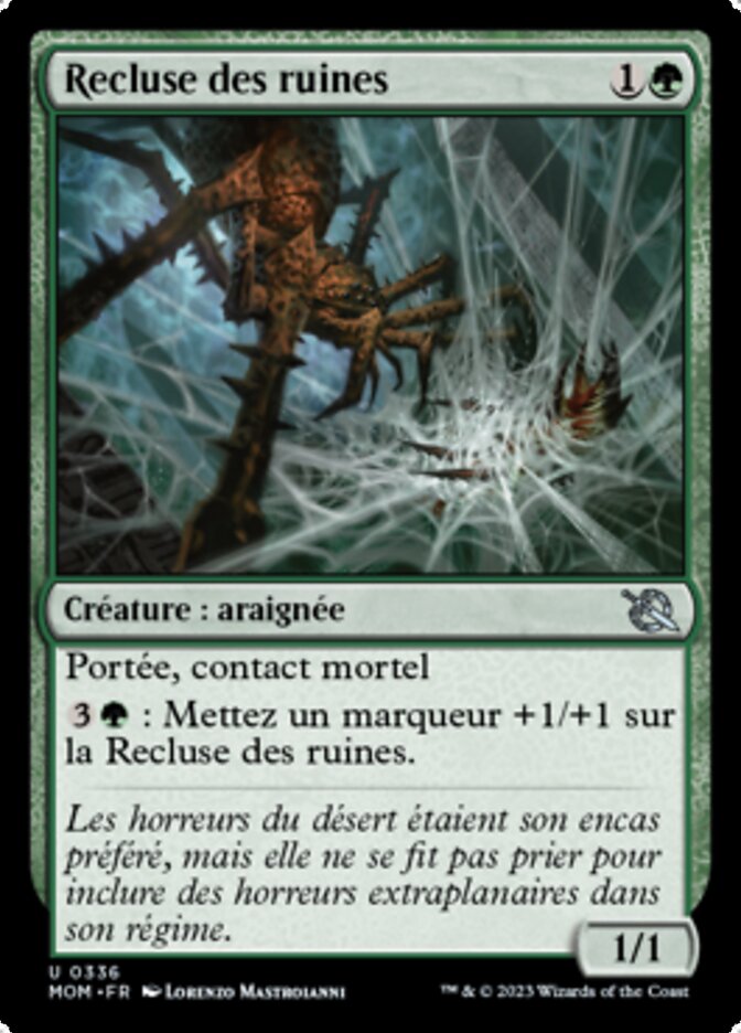 image Recluse des ruines