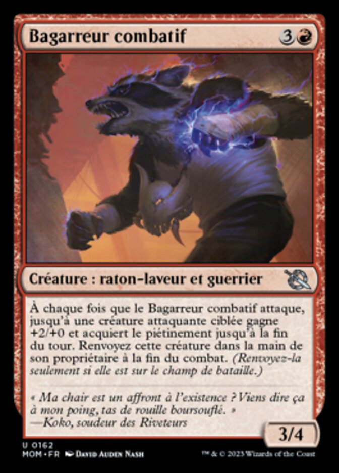 image Bagarreur combatif