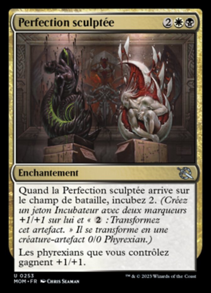 image Perfection sculptée