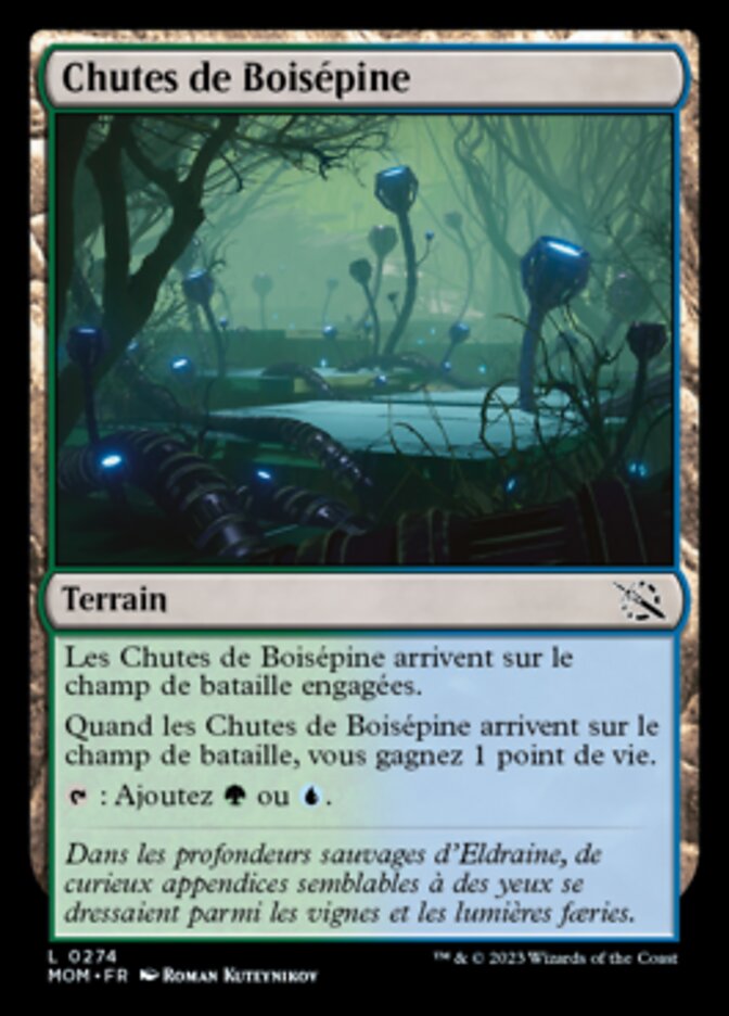 image Chutes de Boisépine