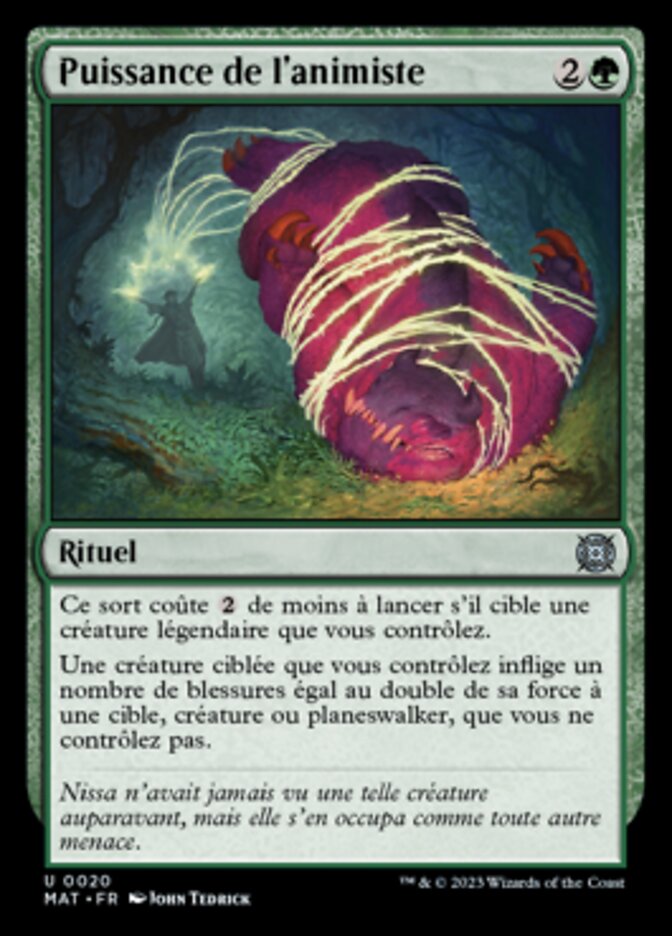 image Puissance de l'animiste