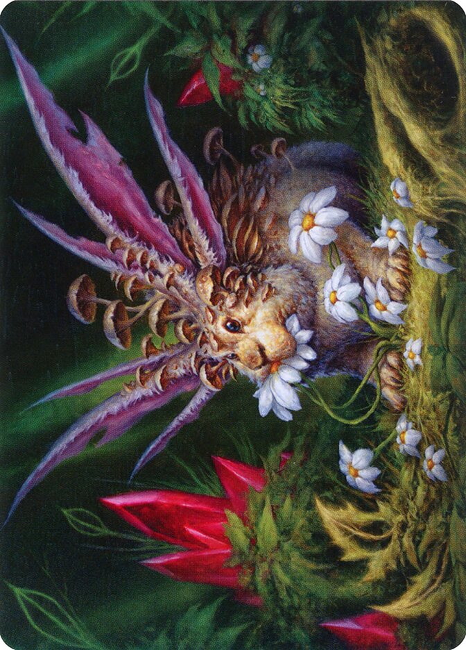 image Placid Rottentail // Placid Rottentail