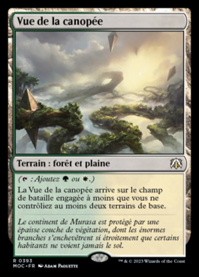 image Vue de la canopée