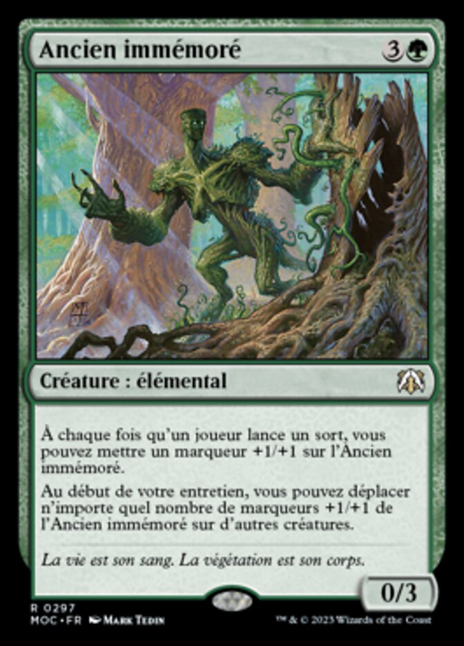 image Ancien immémoré