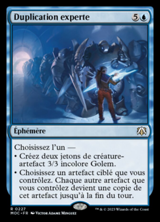 image Duplication experte