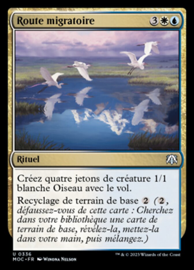 image Route migratoire