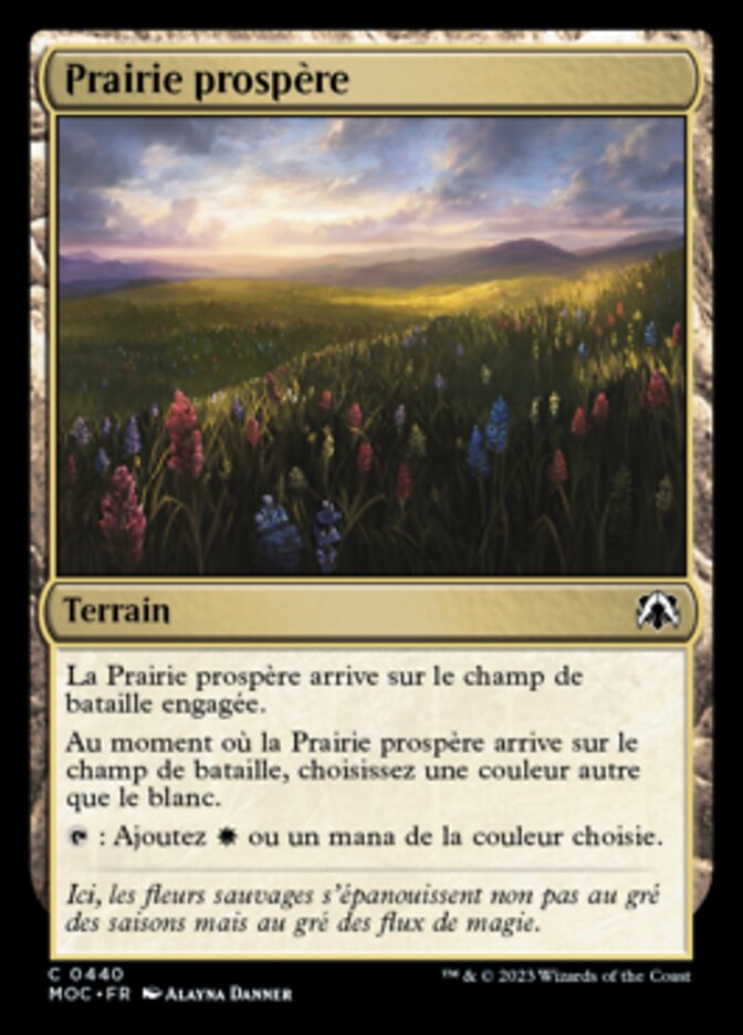 image Prairie prospère
