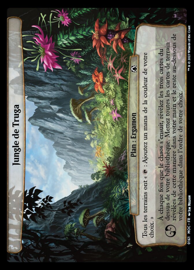 image Jungle de Truga