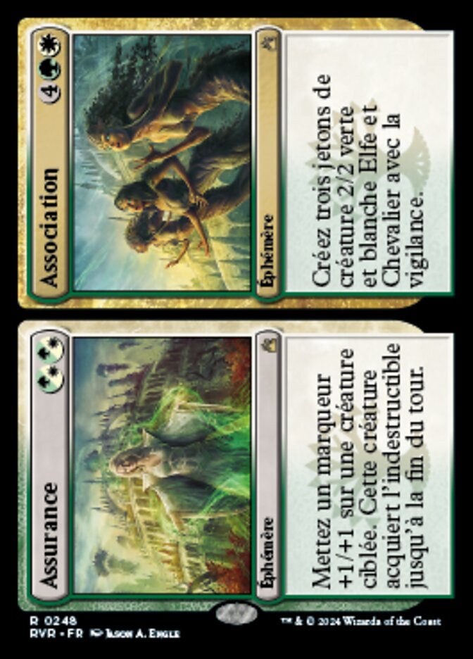 image Assure // Assemble