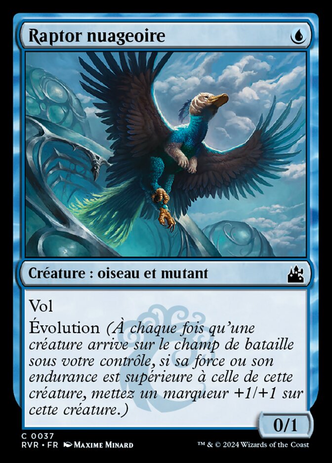 image Raptor nuageoire