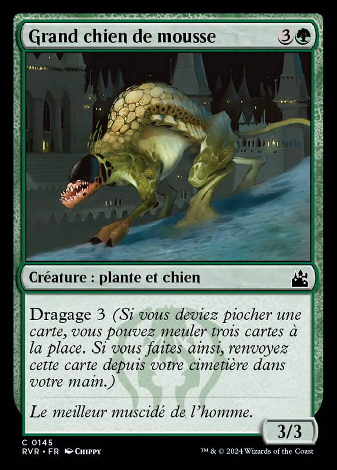 image Grand chien de mousse