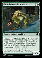 Grand chien de mousse