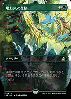 壌土からの生命
