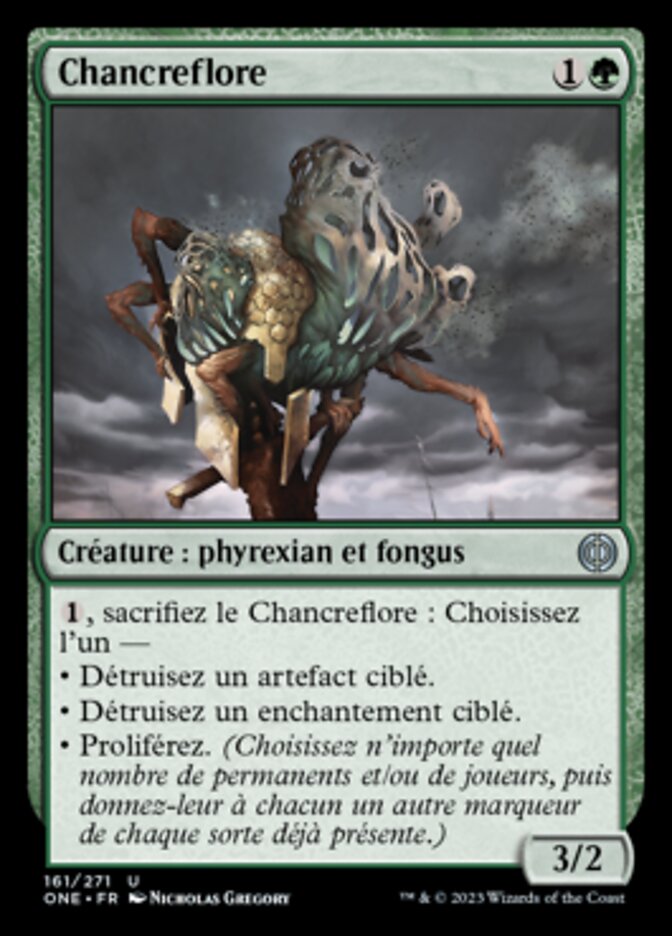 image Chancreflore