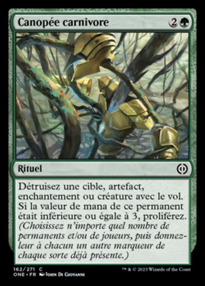 image Canopée carnivore