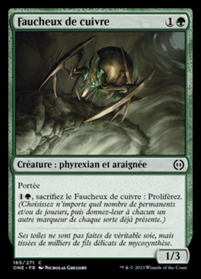 image Faucheux de cuivre