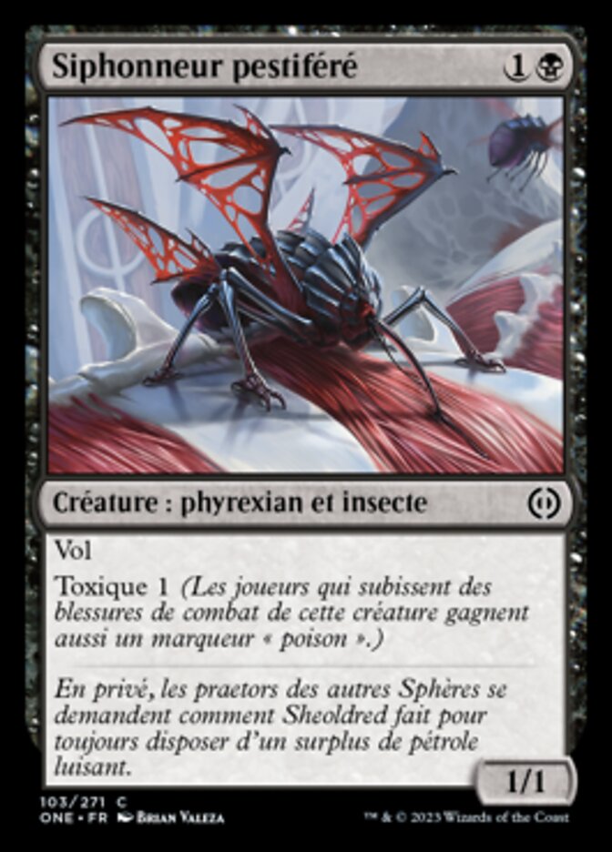 image Siphonneur pestiféré