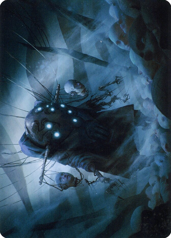 image Meldweb Curator // Meldweb Curator