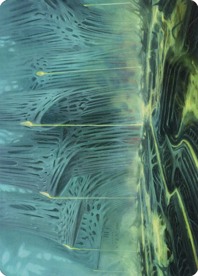 image Swamp // Swamp