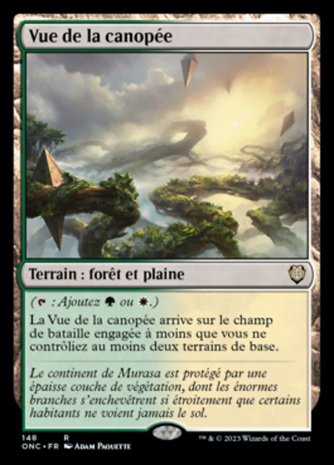 image Vue de la canopée