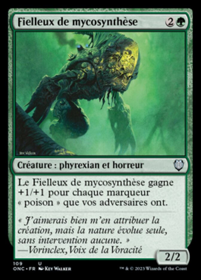 image Fielleux de mycosynthèse