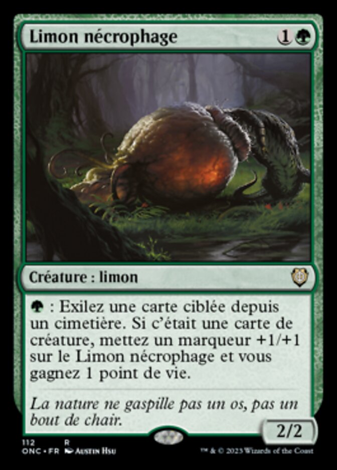 image Limon nécrophage