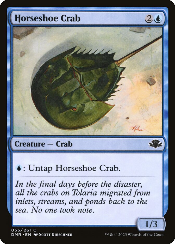 image Horseshoe Crab